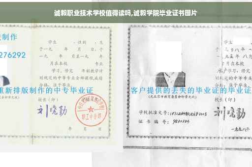 诚毅职业技术学校值得读吗,诚毅学院毕业证书图片