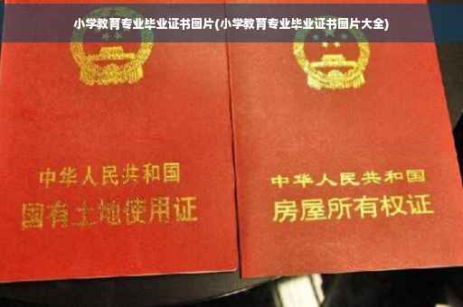 小学教育专业毕业证书图片(小学教育专业毕业证书图片大全)