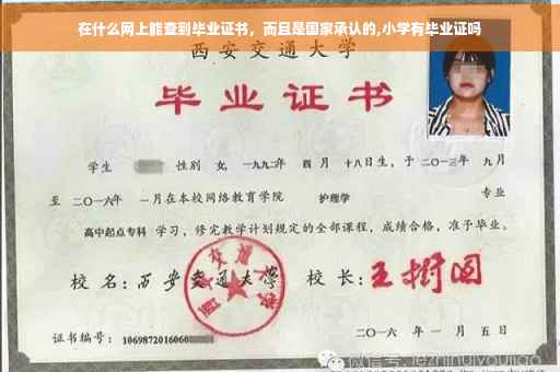 在什么网上能查到毕业证书，而且是国家承认的,小学有毕业证吗