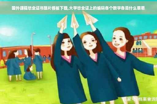 国外课程毕业证书图片模板下载,大学毕业证上的编码各个数字各是什么意思