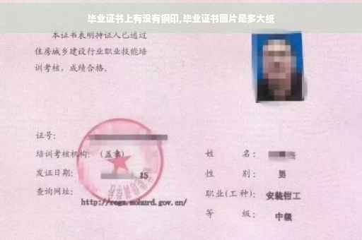 毕业证书上有没有钢印,毕业证书图片是多大纸