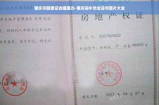 肇庆市健康证去哪里办-肇庆高中毕业证书图片大全