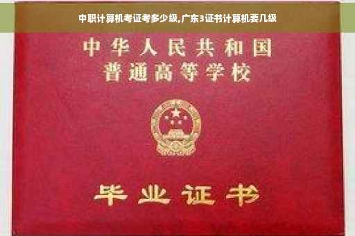 中职计算机考证考多少级,广东3证书计算机要几级
