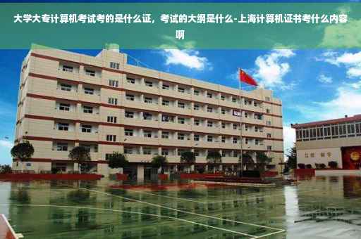 大学大专计算机考试考的是什么证，考试的大纲是什么-上海计算机证书考什么内容啊