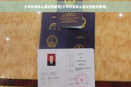 大专毕业怎么查证书编号(大专毕业怎么查证书编号查询)
