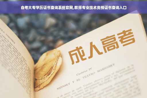 自考大专学历证书查询系统官网,教师专业技术资格证书查询入口