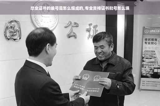 毕业证书的编号是怎么组成的,专业资格证书批号怎么填