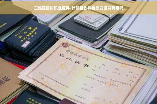 三维建模的职业证件-计算机软件检测员证书有用吗