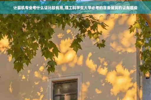 计算机专业考什么证比较有用,理工科学生大学必考的含金量高的证有哪些