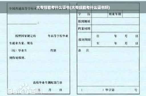 大专技能考什么证书(大专技能考什么证书好)
