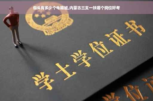 包头有多少个电脑城,内蒙古三支一扶哪个岗位好考