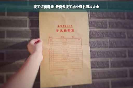 技工证有哪些-云南省技工毕业证书图片大全