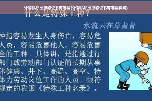 计算机职业职称证书有哪些(计算机职业职称证书有哪些种类)