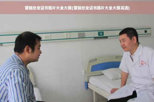营销毕业证书图片大全大图(营销毕业证书图片大全大图高清)