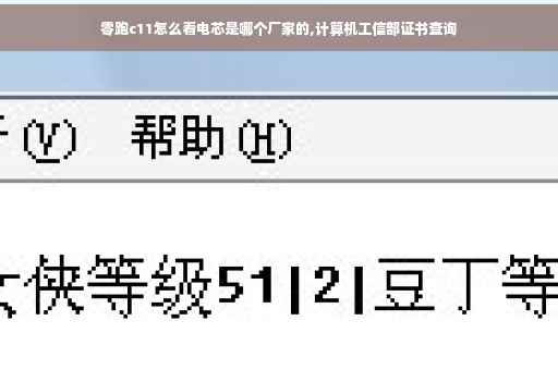 零跑c11怎么看电芯是哪个厂家的,计算机工信部证书查询