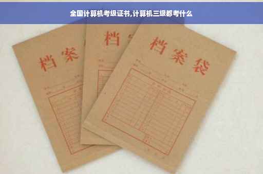 全国计算机考级证书,计算机三级都考什么