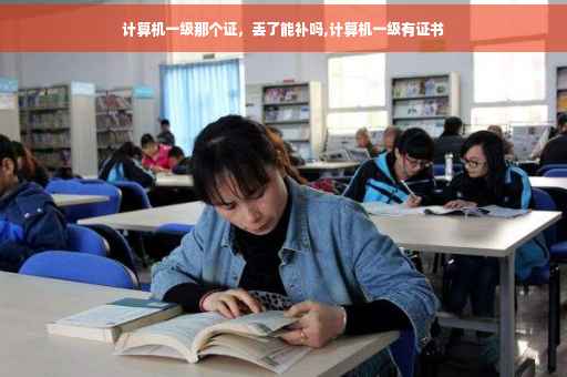 计算机一级那个证，丢了能补吗,计算机一级有证书