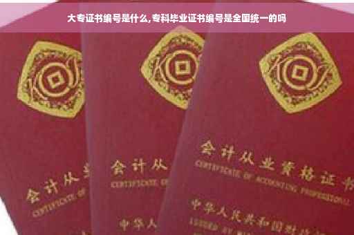 大专证书编号是什么,专科毕业证书编号是全国统一的吗