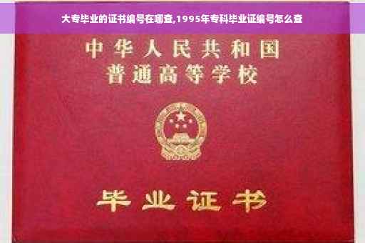 大专毕业的证书编号在哪查,1995年专科毕业证编号怎么查 大专毕业的证书编号在哪查,1995年专科毕业证编号怎么查