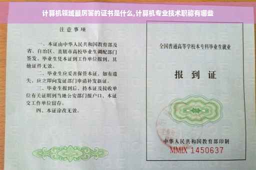 计算机领域最厉害的证书是什么,计算机专业技术职称有哪些