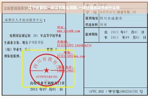 辽宁计算机一级证书怎么领取,一级计算机证书长什么样