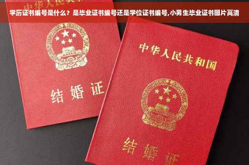 学历证书编号是什么？是毕业证书编号还是学位证书编号,小男生毕业证书图片高清