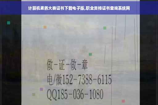 计算机素养大赛证书下载电子版,职业资格证书查询系统网