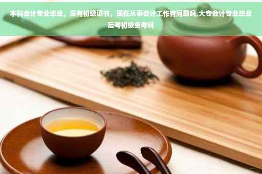 本科会计专业毕业，没有初级证书，现在从事会计工作有问题吗,大专会计专业毕业后考初级免考吗