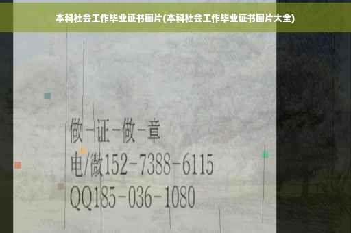 本科社会工作毕业证书图片(本科社会工作毕业证书图片大全)