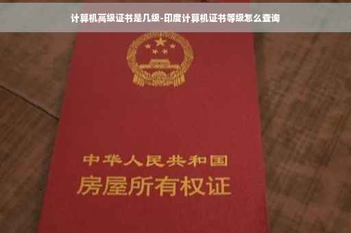 计算机高级证书是几级-印度计算机证书等级怎么查询