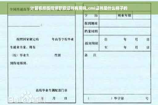 计算机排版技师职称证书有用吗,cmi证书是什么样子的