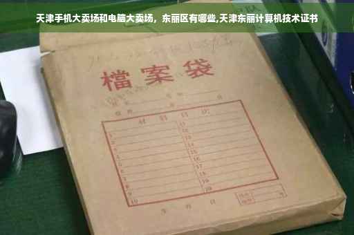 天津手机大卖场和电脑大卖场，东丽区有哪些,天津东丽计算机技术证书