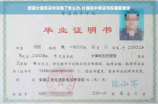 职称计算机证书没有了怎么办-计算机中级证书在哪里查询
