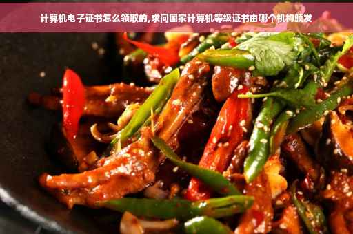 计算机电子证书怎么领取的,求问国家计算机等级证书由哪个机构颁发