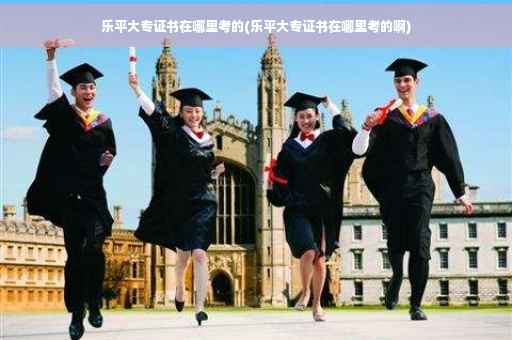 乐平大专证书在哪里考的(乐平大专证书在哪里考的啊)