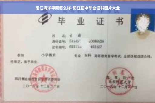 阳江海洋学院怎么样-阳江初中毕业证书图片大全