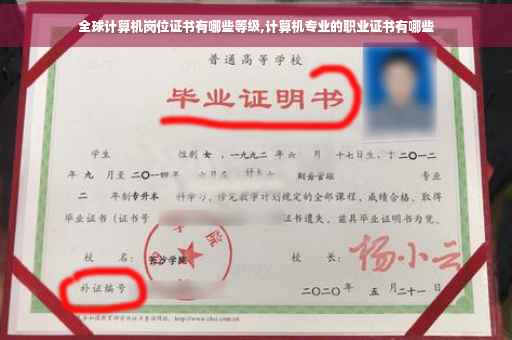 全球计算机岗位证书有哪些等级,计算机专业的职业证书有哪些