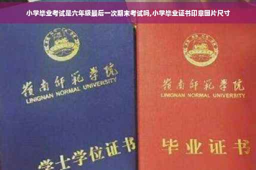 小学毕业考试是六年级最后一次期末考试吗,小学毕业证书印章图片尺寸
