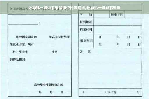 计算机一级证书编号哪位代表成绩,计算机一级证书类型