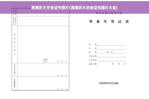 西南农大毕业证书图片(西南农大毕业证书图片大全)