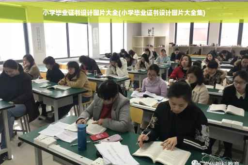小学毕业证书设计图片大全(小学毕业证书设计图片大全集)