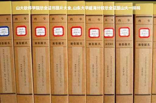 山大软件学院毕业证书图片大全,山东大学威海分校毕业证跟山大一样吗