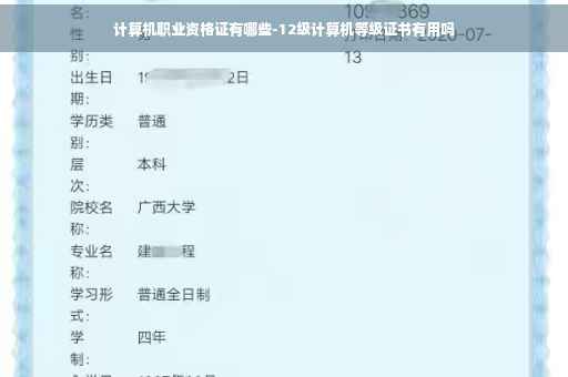 计算机职业资格证有哪些-12级计算机等级证书有用吗