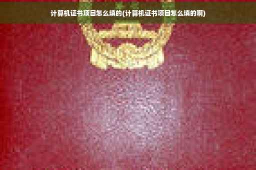 计算机证书项目怎么填的(计算机证书项目怎么填的啊)