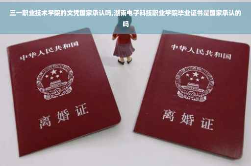 三一职业技术学院的文凭国家承认吗,湖南电子科技职业学院毕业证书是国家承认的吗