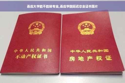 嘉应大学能不能转专业,嘉应学院延迟毕业证书图片