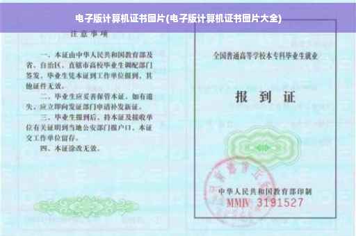 电子版计算机证书图片(电子版计算机证书图片大全)
