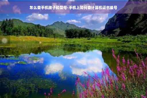 怎么查手机牌子和型号-手机上如何查计算机证书编号