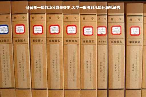 计算机一级各项分数是多少,大学一般考到几级计算机证书