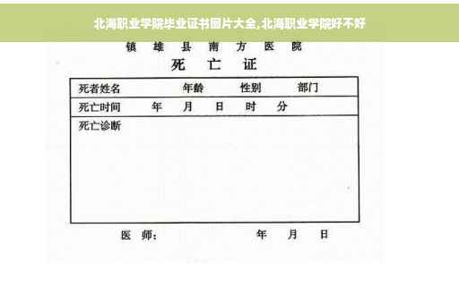 北海职业学院毕业证书图片大全,北海职业学院好不好